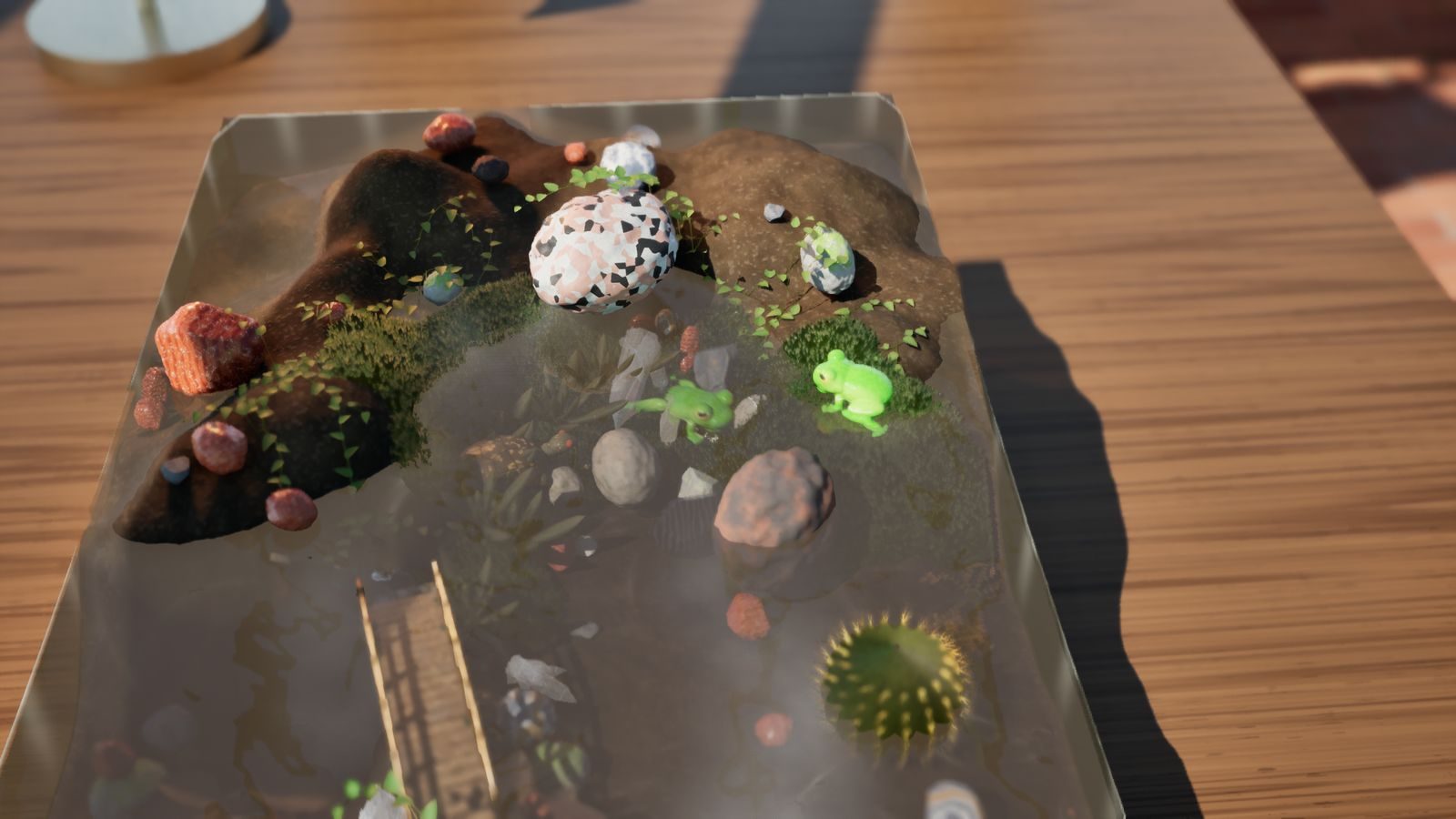 Frogs around a pond in a long tank